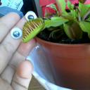 captain-choco avatar