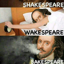 captain-i-might-be-a-bitch avatar