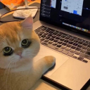 captain-myhost avatar