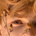 captain-sunshine-11 avatar