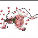 captainalpacalypse avatar