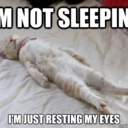 captainameowica-mrowvel avatar