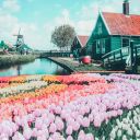 captainbabygirl96 avatar