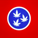 captainbogart13 avatar