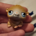 captainboyhole avatar