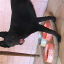 captaincrunchbrie avatar