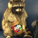 captaingratedcheese avatar