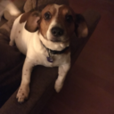 captaingrindaw-blog avatar