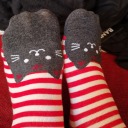 captainkaorifan avatar