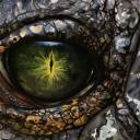 captainkaprozyx avatar