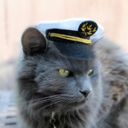 captainmittenss avatar