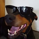 captainmorgens avatar