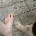 captainnonsenseuniverse avatar