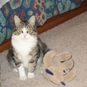 captainotterlet avatar