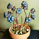 captainpancakes91 avatar