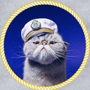 captainpancakesthecat avatar