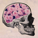 captainpivoine avatar