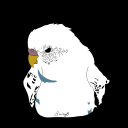 captainscurboga avatar