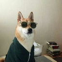 captainselin66 avatar