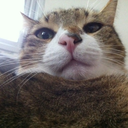 captainshablul avatar