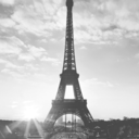 captainswananchor avatar