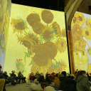 captainswhore avatar