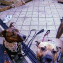 captaintrippingthroughlifeworld avatar