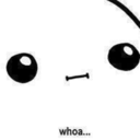 captainturtlesan avatar