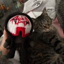 captialrogers avatar