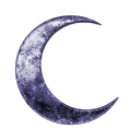 captianimarum avatar