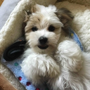 captivated-by-books avatar