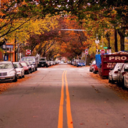 capturing-life-with-photos avatar