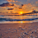 capturingherthoughts avatar