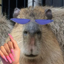 capybaraslayqueen avatar