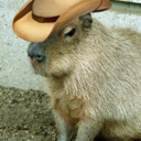 capyrancher avatar
