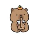 capyybaras avatar