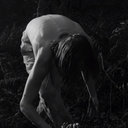 caracal-benjamin avatar