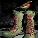 caractacus-p-doom avatar