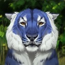caraidart avatar
