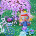 caramelapplecrossing avatar