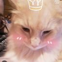 caramellcreme avatar