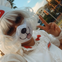 caramelldogsen avatar