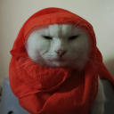 carameow-macchiato avatar