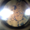 carbear043-blog1 avatar