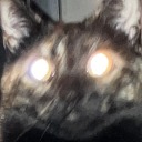 carbonatedeverclear avatar