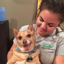 carbonblackdahlia avatar