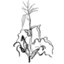 carbonic-acid-records avatar