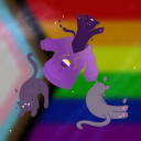 carcino-cat-nip avatar