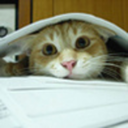 card-best-housing-services-un avatar