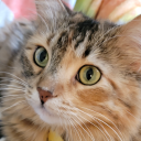 cardboard-box-of-stuff avatar